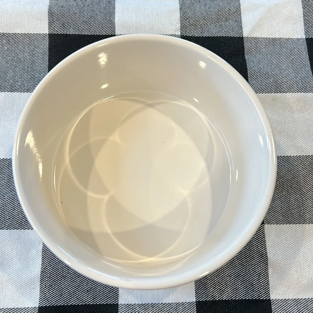 Rae Dunn “Slurp” Dog Water Bowl